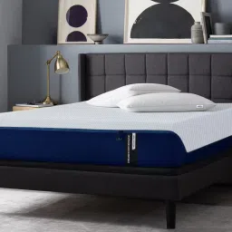 Dreamer Orthopedic Memory Foam 6 inch King High Resilience (HR) Foam Mattress-7