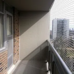 Bird Net| UV Stabilized Pigeon Net|Size:6X8 Ft 15 PLY with Installation Kit Camping Net-picture-24