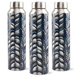 The Better Home Silver-Toned & Grey 3 Pieces Stainless Steel Water Bottle 1 Litre-18
