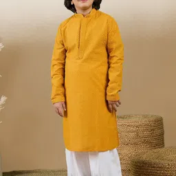 Sanwara Boys Floral Chikankari Mandarin Collar Regular Kurta with Patiala-14