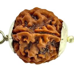 SRT Rudra 6 Mukhi Rudraksha Original Certified with Silver Capping Chhah Mukh Rudraksh Blessed by Lord Kartikya 6 Face Rudrakshaa for Men Women image 1