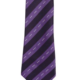 Alvaro Castagnino Men Black & Purple Striped Broad Tie-image-75