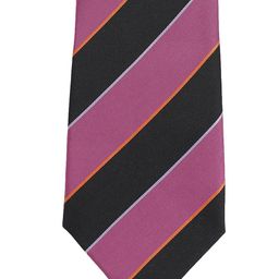 Alvaro Castagnino Men Purple & Black Striped Broad Tie-image-76