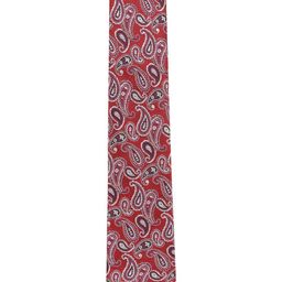 Alvaro Castagnino Men Maroon & White Printed Broad Tie-image-97