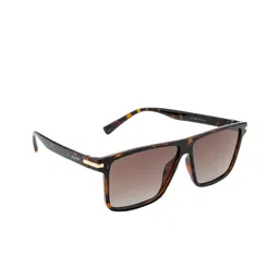 POPPY Men Wayfarer Sunglasses with UV Protected Lens-picture-4