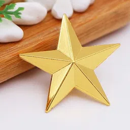 Mahi Unisex Star-Shaped Brooch-picture-37
