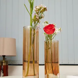 BS AMOR 2-Pcs Beige Cylindrical Glass Flower Vases-14