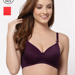 Floret Pack of 2 Solid Push-Up Bras - Lightly Padded-picture-40