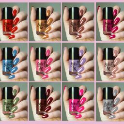 Quick Dry Long Lasting Nail Paint Combo Offer Set of 12 (CD2) Multicolor-16
