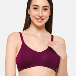 intimacy LINGERIE Full Coverage Non Wired Non Padded Cotton All Day Comfort Everyday Bra-image-4