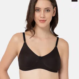 Lady Lyka Pack of 2 Full Coverage Cotton T-ShirtBra-image-78