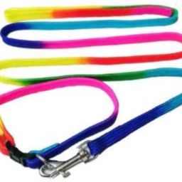 GOOD QUALITY 1/2 INCH RAINBOW COLOR DESIGNED BELT FOR YOUR PUPPY & SMALL BREED DOG COLLAR BELT, Dog Collar & Leash Dog Collar & Leash-image-28