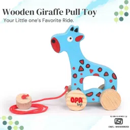 Wooden Push Toy & Pull Along Toys Giraffie Toy-image-46