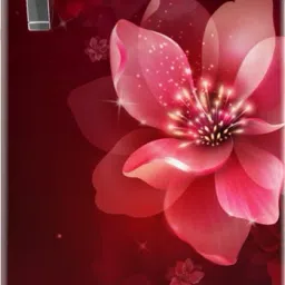 207 L Direct Cool Single Door 3 Star Refrigerator-picture-14