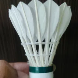 acers Grade A+ Feather Shuttle- White image 3