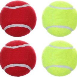 Red Rubber Heavy Weight Tennis Cricket Ball Cricket Tennis Ball-image-39