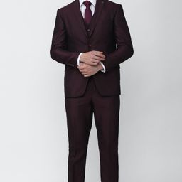 peter england Men Single Breasted - 2 button Solid Suit-picture-47