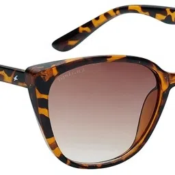 Polarized, UV Protection Cat-eye Sunglasses (56)-picture-26