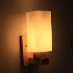 Wallchiere Wall Lamp Without Bulb-9