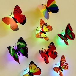 Butterfly Pack of 5-image-60