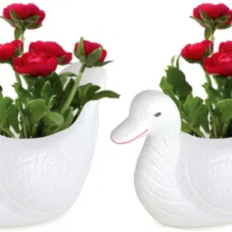 Duck Pot Plastic White Flower Pot | Indoor and Outdoor Use | Elegant Home Decor Plant Container Set-image-59