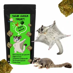 Chicken & Spinach Suger Glider Treat | Protein Rich |Crunchy Snack |100% Natural Chicken, Vegetable Squirrel Treat-picture-13