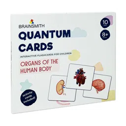 Brainsmith Organs of the Human Body Quantum Cards-15