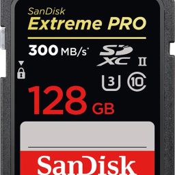 SanDisk SDSDXPK-128G-GN4IN Extreme Pro 128 GB SDXC Class 10 300 MbpsMemory Card Compatible with Camera, Tablet, Mobile-picture-19