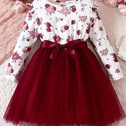 BAESD Floral Printed Net Fit & Flare Dress-22
