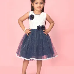 BAESD Girls Self Design Net Sleeveless Fit & Flare Dress-picture-20