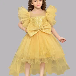 Pink Chick Girls Flutter Sleeve Net Fit & Flare Dress-image-39