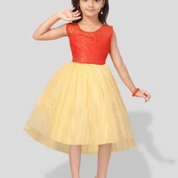 BAESD Girls Self Design Net Fit & Flare Dress-6