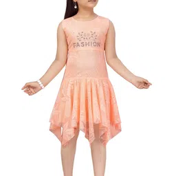 BAESD Girls Self Designed Sleeveless Net Fit & Flare Dress-picture-4