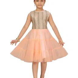 BAESD Girls Embellished Sleeveless Fit & Flare Dress-picture-51