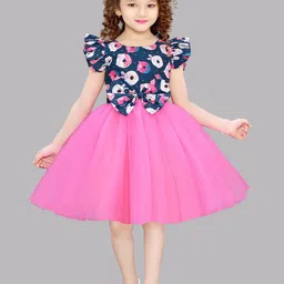 Pink Chick Printed Flutter Sleeve Fit & Flare Net Dress-image-66