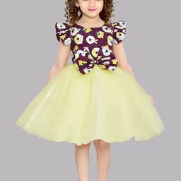 Pink Chick Girls Graphic Print Puff Sleeve Net Fit & Flare Dress-image-33