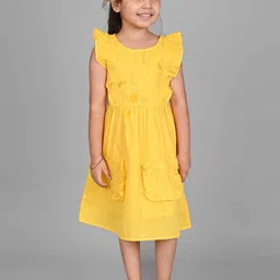 Creative Kids Girls Self Design Schiffli Flutter Sleeves Gathered Cotton Fit & Flare Dress-image-27