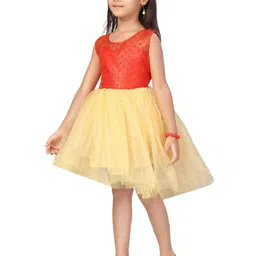 BAESD Embellished Net Fit & Flare Dress image 4