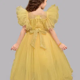 Pink Chick Flutter Sleeves Bow Net Fit & Flare Dress image 2