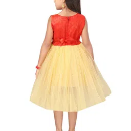BAESD Embellished Net Fit & Flare Dress image 3