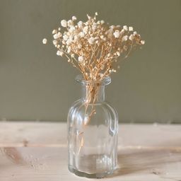 Artecasa Dried Flower White Baby Breaths-25