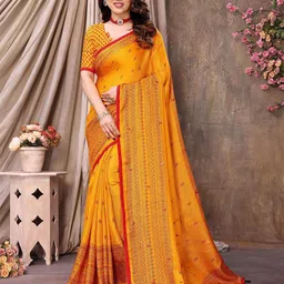 Ambuja International Ethnic Motifs Mirror Work Saree-54