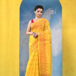 DESH BIDESH Ethnic Motifs Zari Saree-picture-21