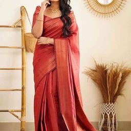 BerMondsey Zari  Woven Design Banarasi Saree-image-15