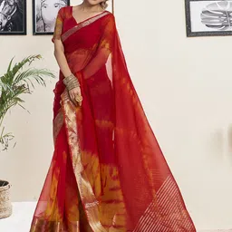 Satrani Tie and Dye Zari Organza Saree-picture-43