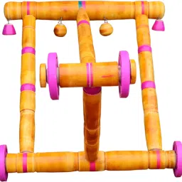 Activity Walker-2