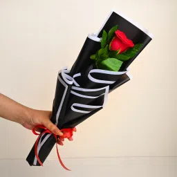 Fresh Live Flower Bouquet of Single Red Rose Flower Roses Bouquets-image-64