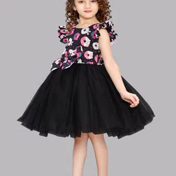 Pink Chick Printed Flutter Sleeve Fit & Flare Net Dress image 4