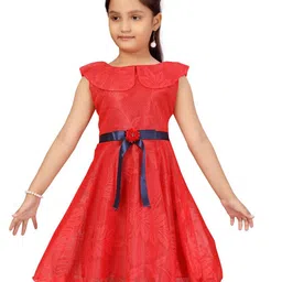 Aarika Red Net Self Design Dress-70