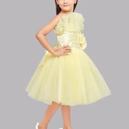 Pink Chick Girls Ruffled Tulle Net Fit & Flare Midi Dress-image-96
